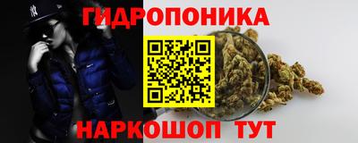 a pvp Тула