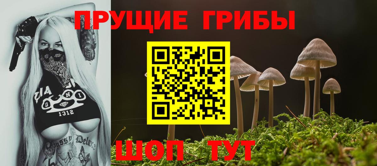 Псилоцибиновые грибы GOLDEN TEACHER  Вход с VPN  Галлюциногенные грибы мухоморы  Таганрог 